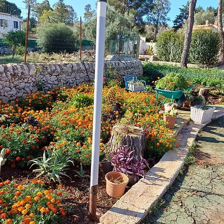 Campagna Cavasecca بيت للعطل Casa della Contessa