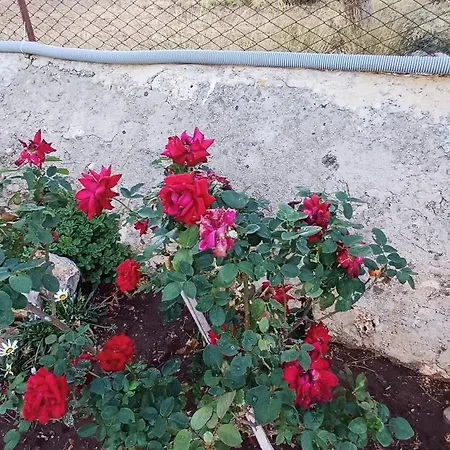 Campagna Cavasecca *