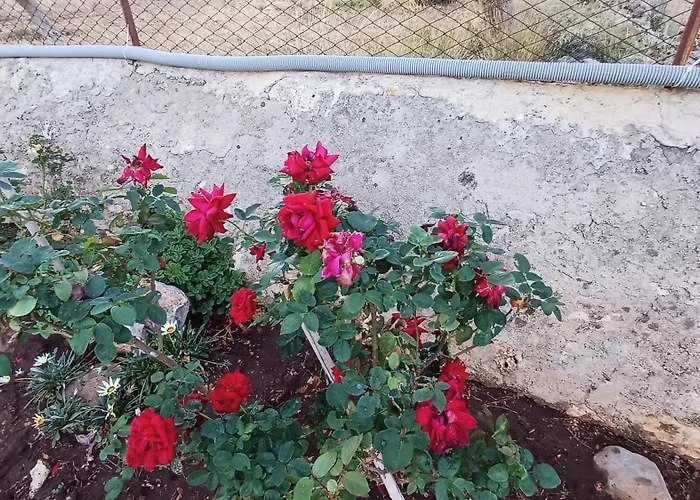 Campagna Cavasecca *
